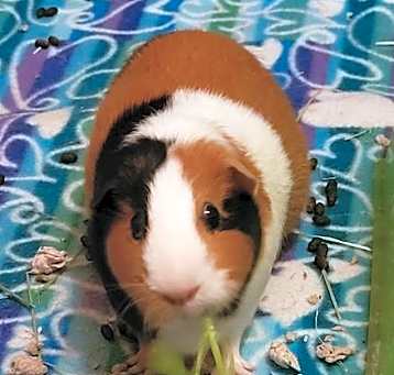 Photo of Charlotte