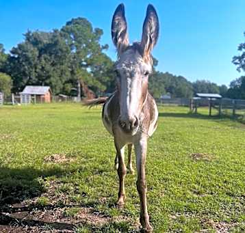 Photo of Wilma