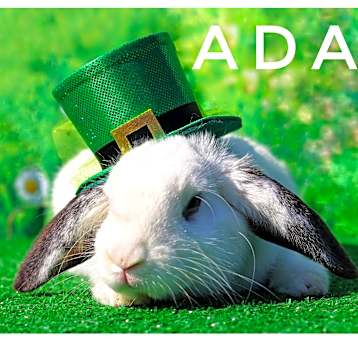 Photo of Adam