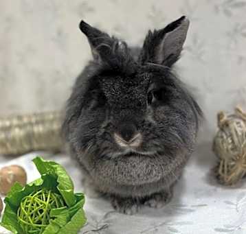 Photo of Tina