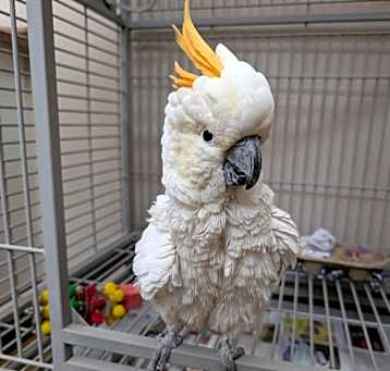 Photo of Sunny