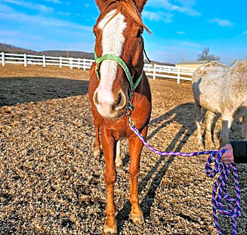 Photo of Outlaw