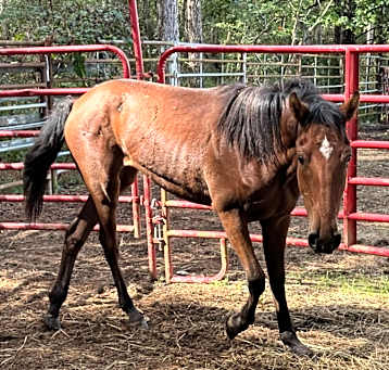 Photo of Kiona