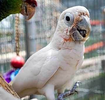 Photo of Gabriel