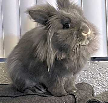 Photo of Diggs