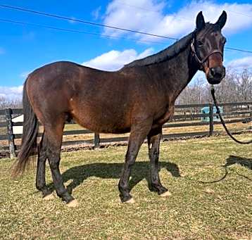 Photo of Gatsby