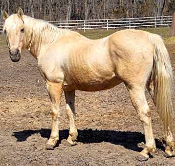 Photo of ABU