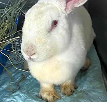 Photo of Baby