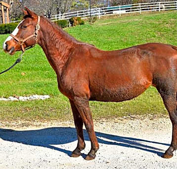Photo of MACI MAY