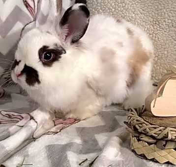 Photo of Natasha