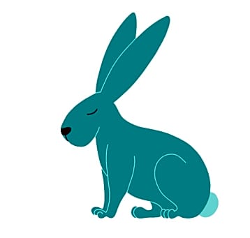 Photo of Flippy
