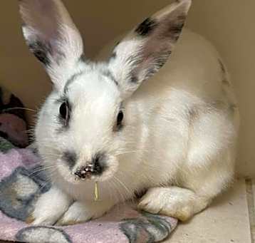 Photo of Squiz