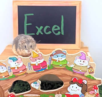 Photo of Excel