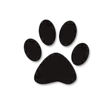 Photo of Bitey
