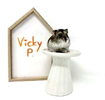 Photo of Vicky Pacheco