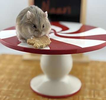 Photo of Naan