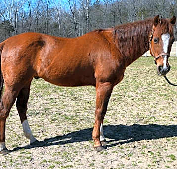Photo of FIYERO