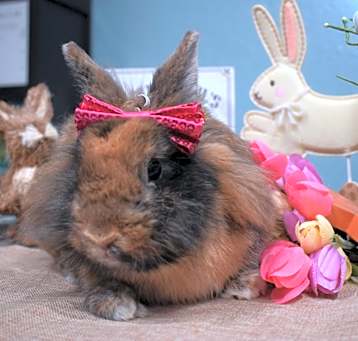 Photo of Penelope