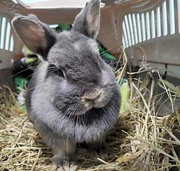 Photo of Bernice