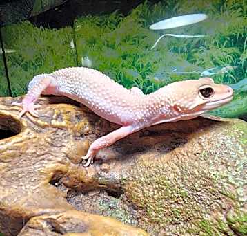 Photo of Emelio