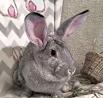 Photo of Sarah