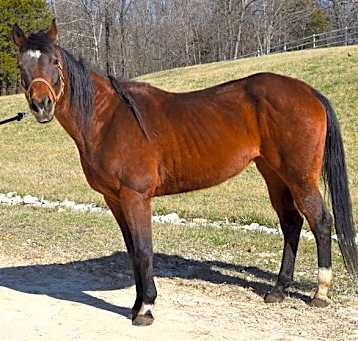 Photo of GLINDA