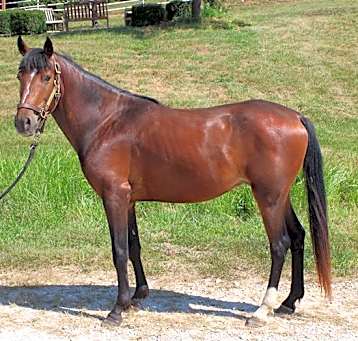 Photo of RIDDLE