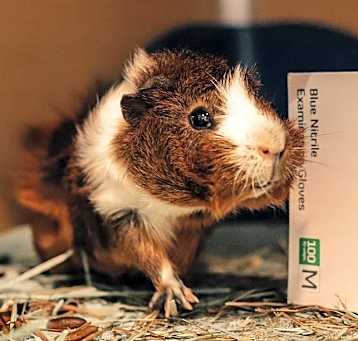 Photo of Bubba Buford