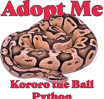 Photo of Kororo the Ball Python
