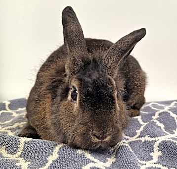 Photo of Kramer