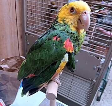 Photo of Zach/Sweet Pea