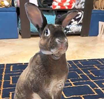 Photo of Tuck