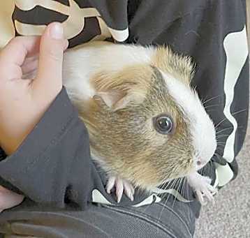 Photo of ZURI