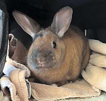 Photo of Peter