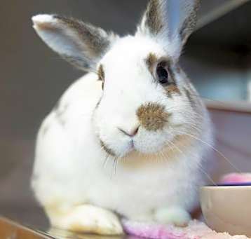 Photo of Tutti Frutti