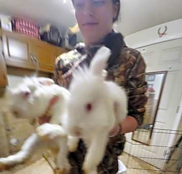 Photo of Snowball