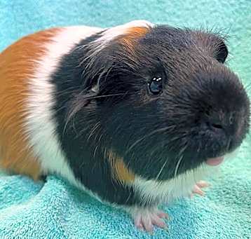 Photo of JJ