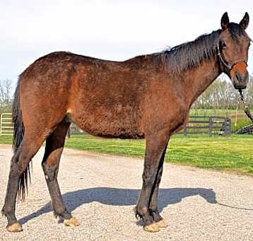 Photo of Blame Bourbon