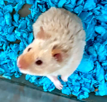 Photo of Rudy