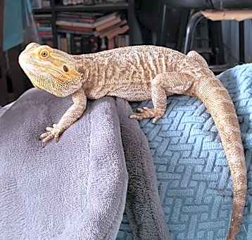 Photo of Fiona