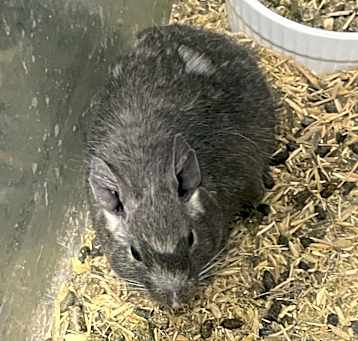 Photo of Martha