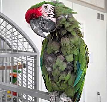 Photo of Maganda
