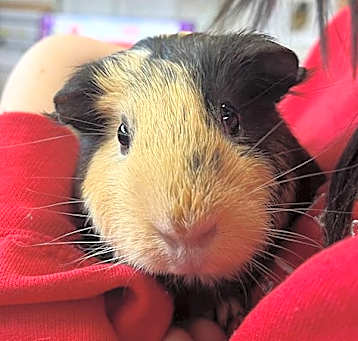 Photo of MILKY