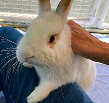 Photo of BARNABY