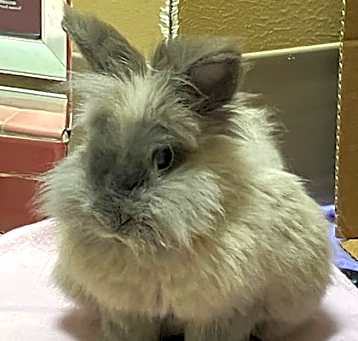 Photo of Bauer