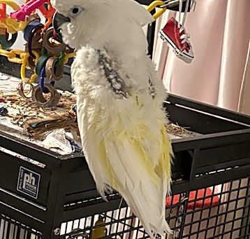 Photo of Colbie