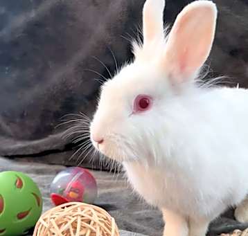 Photo of Ella