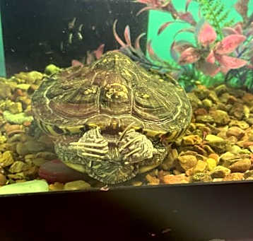 Photo of Jack Jack