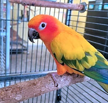 Photo of Marlo