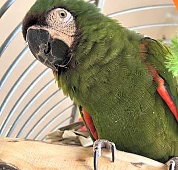 Photo of Maggie